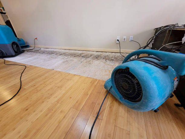 Professional Burst Pipe Water Damage technician working in Cantonment, FL